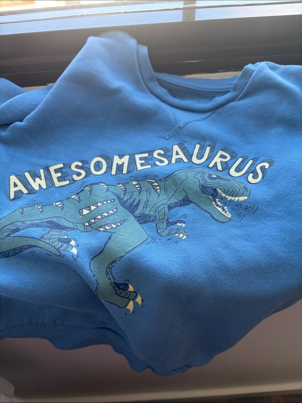 Primark Blue 'Awesomesaurus' Dinosaur Sweatshirt